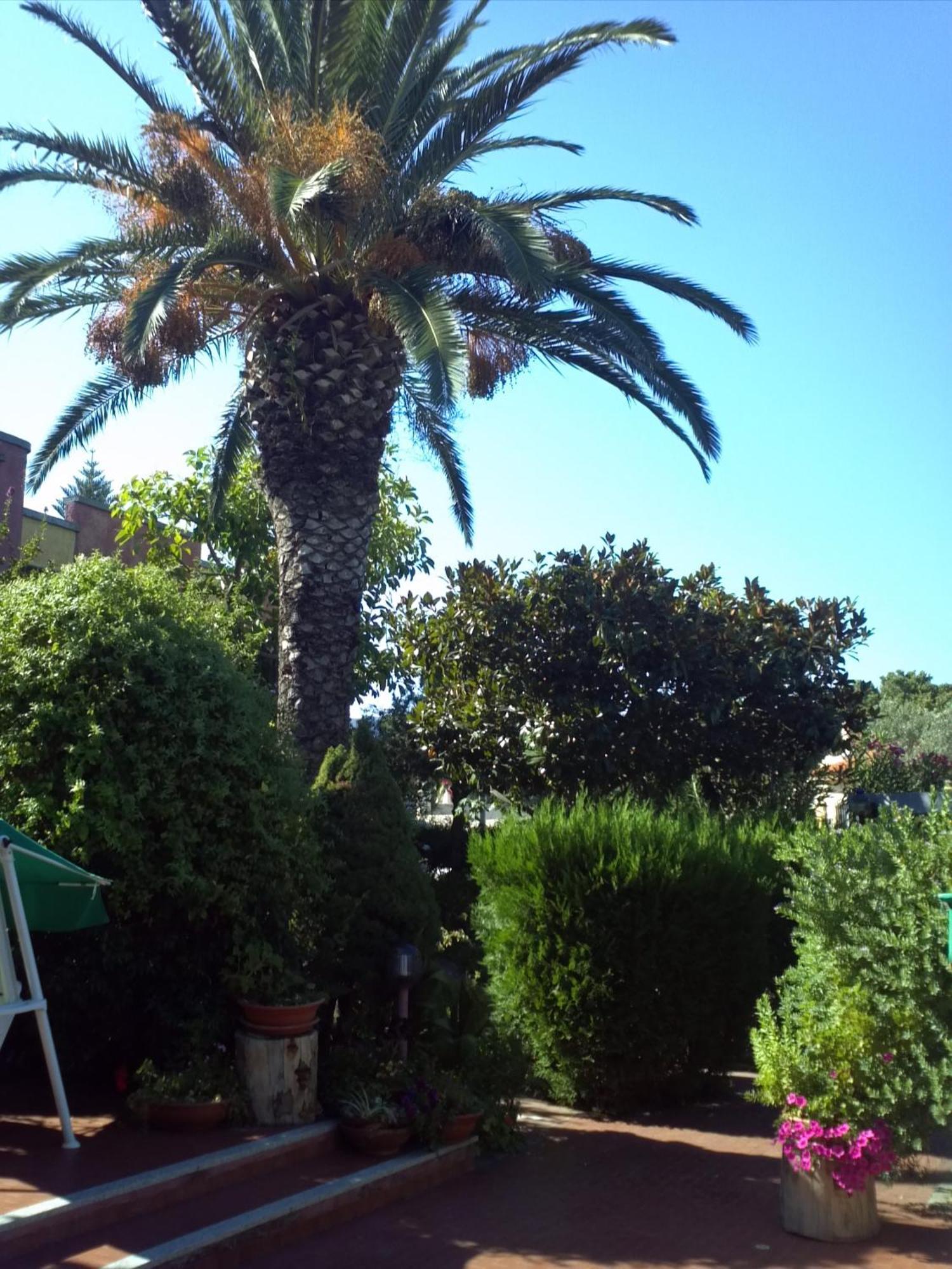 Hotel Abbaruja Olbia Eksteriør bilde